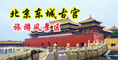 女同双双自慰AV在线中国北京-东城古宫旅游风景区